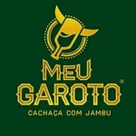 Logo Meu Garoto